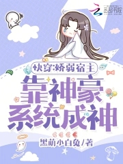 �촩���������������ϵͳ����