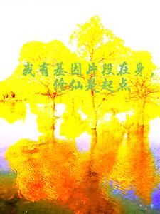 ���л���Ƭ�����������������